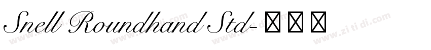 Snell Roundhand Std字体转换